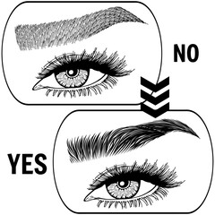 Illustration with woman's eyes, eyelashes and eyebrows. Makeup Look. Tattoo design. Logo for brow bar or lash salon. Wrong and right coloring care. Set of well-groomed and shaggy eyebrows.