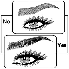 Illustration with woman's eyes, eyelashes and eyebrows. Makeup Look. Tattoo design. Logo for brow bar or lash salon. Wrong and right coloring care. Set of well-groomed and shaggy eyebrows.