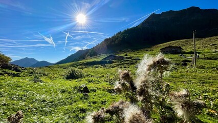 Wanderung Tirol Fieberbrunn Wildsee
