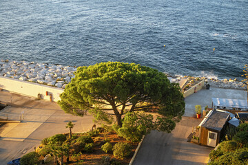 peaceful coastal scene during golden hour, featuring a large green tree in the foreground surrounded by landscaped paths and small structures in Bandol France