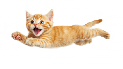 A playful orange tabby kitten leaps joyfully in mid-air against a clean white background. its energetic personality and playful nature. ideal for pet-related content