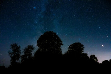 Fototapeta premium Milky Way stars with countryside tree and landscape silhouettes.