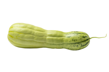 A pale green, elongated melon with dark green stripes, isolated on a transparent background. background removed