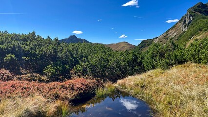 Wanderung Tirol Fieberbrunn Wildsee