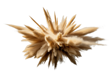 A burst of light brown sand explodes outwards, creating a dynamic and textured cloud against a transparent background. background removed