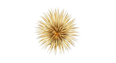 Fototapeta premium Golden Radiating Light Explosion Sparkler Detailed Illustration Isolated Object