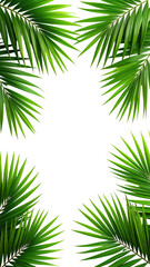 Fototapeta premium Palm leaves frame a dark center. Lush green fronds surround a black void