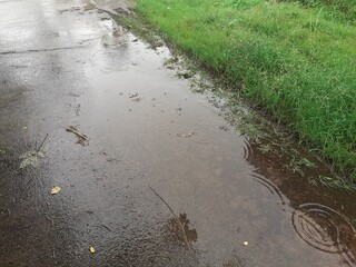 Puddle on the background of rain
