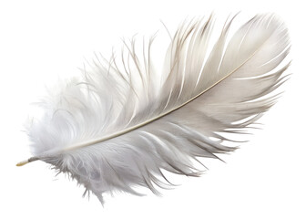Obraz premium white feather png image on transparent background