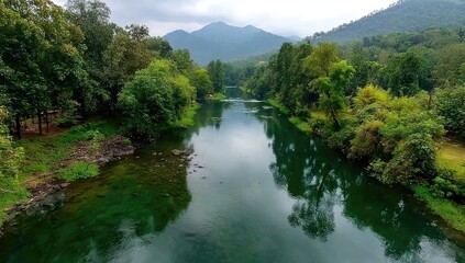 Serene river winding through lush green forest, reflecting mountains
