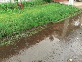Puddle on the background of rain
