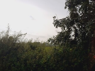 Scenic view of nature along a rural road after a rainy day