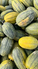 A large pile of green and yellow striped pumpkins at an autumn farm