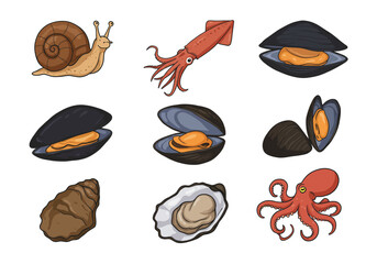 A collection of shellfish and mollusks in varying forms on a white backdrop