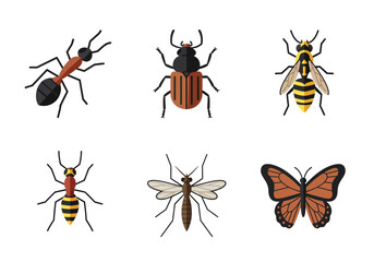A collection of six insects ant beetle wasp another ant mosquito  butterfly
