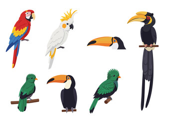 Illustration of tropical birds parrot cockatoo toucans and hornbill on a white background © G Factory