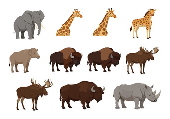 Eleven animals displayed in cartoon style elephant giraffe buffalo rhinoceros moose and tapir