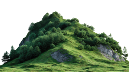 Green Hill's Embrace: A verdant hill, textured with lush grass and sturdy trees, evokes a sense of quietude and organic beauty. The subtle interplay of light and shadow lends an air of depth.