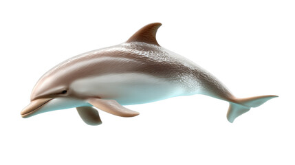 Fototapeta premium Graceful Dolphin: A captivating image of a sleek dolphin, showcasing its elegant form and vibrant colours, exuding an aura of agility and serenity. The dolphin swims gracefully.