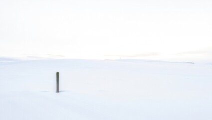 Minimalist figure in a vast white landscape