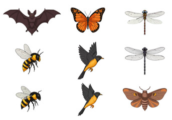 Nine creatures bat butterfly two dragonflies two bees two birds and moth arranged threebythree on a white background