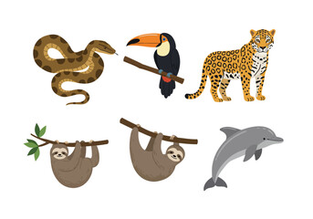 Six animal drawings snake toucan jaguar two sloths on branches and a dolphin