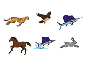 Six animals arranged cheetah falcon marlin two horse rabbit