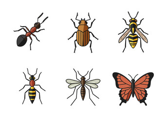 Six colorful insects arranged on a white background three insects on the top row and the other three on the bottom row