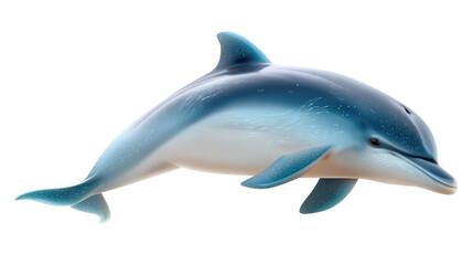 Obraz premium Oceanic Grace: A photorealistic portrait of a dolphin swims, its sleek body and serene expression capturing the majesty of the ocean.
