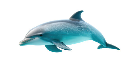 Fototapeta premium Dolphin: Capturing the elegant form of a graceful dolphin, its streamlined body gleaming under the surface of the water, epitomizing grace and the mysteries of the marine realm.
