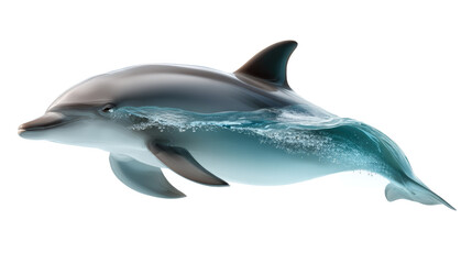 Fototapeta premium Graceful Dolphin in Ocean: A captivating dolphin glides gracefully, creating a mesmerizing scene of fluidity and marine life, showcasing the ocean's serene beauty.
