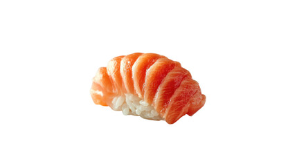 Salmon Nigiri: A close-up shot of a single piece of exquisite salmon nigiri, revealing the meticulous craftsmanship of the fresh, sliced salmon atop a bed of perfectly formed rice.