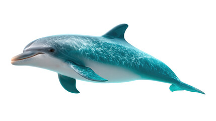 Obraz premium Graceful Marine Mammal: A sleek dolphin glides through the clear blue water, its smooth skin reflecting the sunlight.