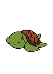 TURTLE ILLUSTRATIONS