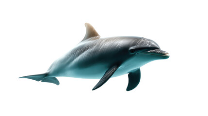 Fototapeta premium Graceful Dolphin in Ocean: A stunning capture of a solitary dolphin gracefully gliding through the tranquil depths, its sleek form and captivating features a testament to marine beauty.