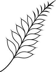 black and white leaves  line art on transparent background