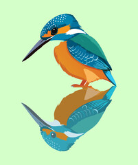 vector illustration of A peaceful cartoon kingfisher bird 