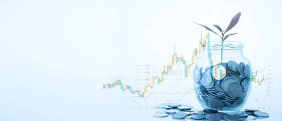 money jar and plant with finance charts and money growth graph. investment growth concept.