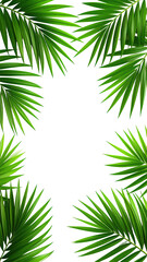 Obraz premium Tropical palm leaves frame a dark center (11)