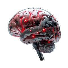 Biomechanical brain, red glowing circuits, metallic, detailed, anatomical accuracy, side profile, dark background