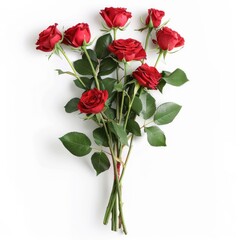 A bouquet of seven dark red roses, stems and leaves arranged on a white background