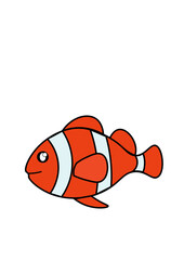 CLOWN FISH ILLUSTRATIONS 