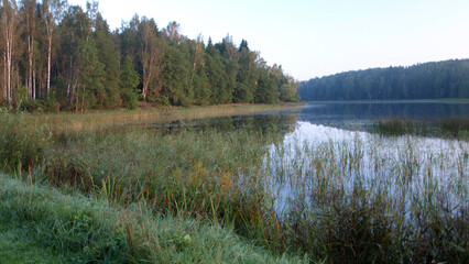 sunrise landscape by the lake, calm and quiet morning, morning dew on the meadow, autumn vegetation