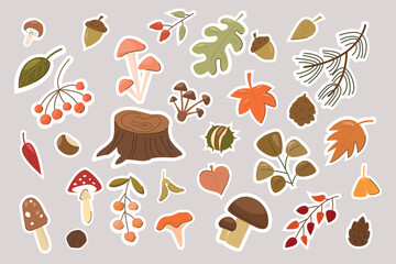 Cartoon autumn forest elements - leaves and plants, stickers in flat style. Vector nature illustration for greeting cards, patches, labels.