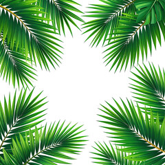 Fototapeta premium Tropical palm fronds frame a stark black center. Lush, vibrant green palm leaves radiate outward, creating a botanical border. Detailed vein structure of the leaves is visible