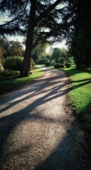 Fototapeta premium Sun-dappled path through a park