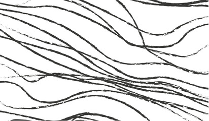 A dynamic black and white abstract background with organic, textured wavy lines