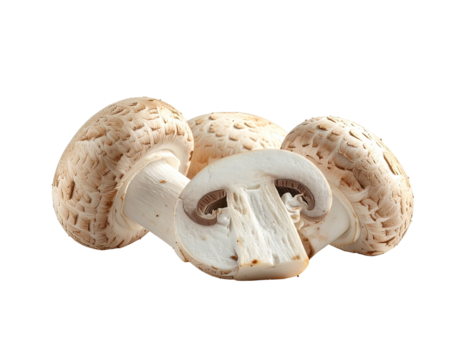 Close-up of three whole and sliced button mushrooms.  Light beige caps with darker brown speckles.  White gills visible in the cut section