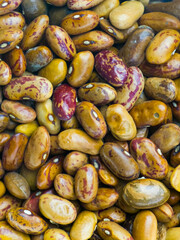 Close up of assorted colorful beans with speckled patterns and smooth texture