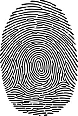 Black fingerprint swirl is isolated on a white background.
